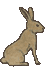 previous