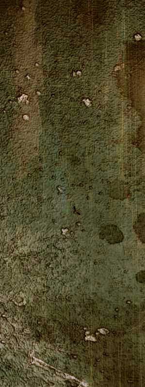 gallery back
